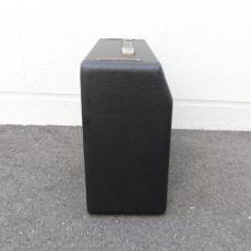 Fender Vibro Champ_3