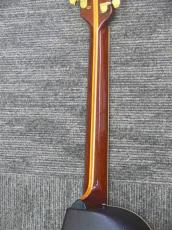 Ovation 1667 Legend Cutaway_8