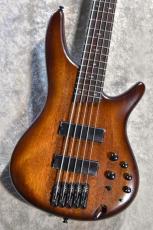 Ibanez SR505A-MHL Mahogany Brown Burst Low Gloss #I251200722【3.68kg】【5弦】