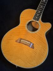 Takamine 【USED】 NPT-115 [2000年製] [日本製][G-Club Tokyo] 