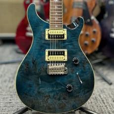 Paul Reed Smith [PRS] 【中古特価市】SE Custom 24 Poplar Burl -Poplar Burl- 2020年製【Rare!】