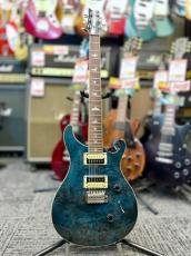 Paul Reed Smith [PRS] 【中古特価市】SE Custom 24 Poplar Burl -Poplar Burl- 2020年製【Rare!】_2
