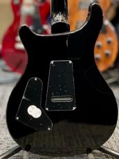 Paul Reed Smith [PRS] 【中古特価市】SE Custom 24 Poplar Burl -Poplar Burl- 2020年製【Rare!】_3