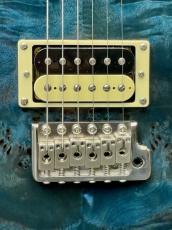 Paul Reed Smith [PRS] 【中古特価市】SE Custom 24 Poplar Burl -Poplar Burl- 2020年製【Rare!】_5