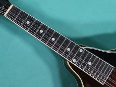 Gibson EM-150_7
