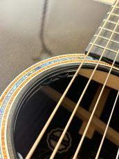 Taylor 【TaylorGuitars Tone Show 2026】CTM Gold Label GP Adirondack Spruce【送料当社負担・最大48回無金利】_4