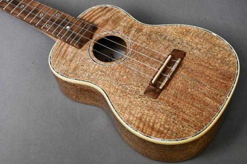 Antar Concert Mango #2056336【THGF2026展示モデル】