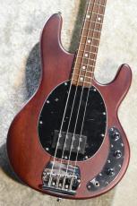 Sterling by MUSIC MAN SUB Series StingRay Ray4 WS Walnut Satin #B217634【4.21kg】【ST-RAY4-WS-J1】