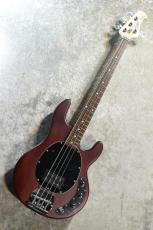 Sterling by MUSIC MAN SUB Series StingRay Ray4 WS Walnut Satin #B217634【4.21kg】【ST-RAY4-WS-J1】_2