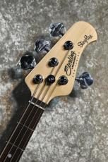 Sterling by MUSIC MAN SUB Series StingRay Ray4 WS Walnut Satin #B217634【4.21kg】【ST-RAY4-WS-J1】_4