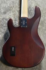 Sterling by MUSIC MAN SUB Series StingRay Ray4 WS Walnut Satin #B217634【4.21kg】【ST-RAY4-WS-J1】_5