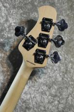 Sterling by MUSIC MAN SUB Series StingRay Ray4 WS Walnut Satin #B217634【4.21kg】【ST-RAY4-WS-J1】_7