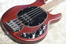 Sterling by MUSIC MAN SUB Series StingRay Ray4 WS Walnut Satin #B217634【4.21kg】【ST-RAY4-WS-J1】_9