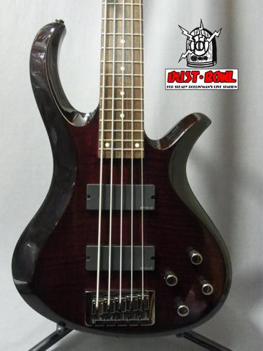 SCHECTER AD-ROT-5