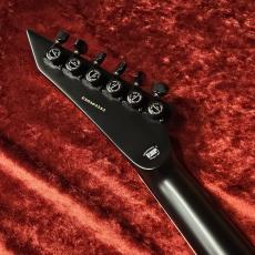 E-II E-II HORIZON NT-II -See Thru Black Sunburst-【ショッピングクレジット無金利対象商品】_9