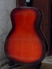 Silvertone '60s Model No,319.12029_4