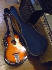 Silvertone '60s Model No,319.12029_11