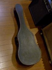 Silvertone '60s Model No,319.12029_12