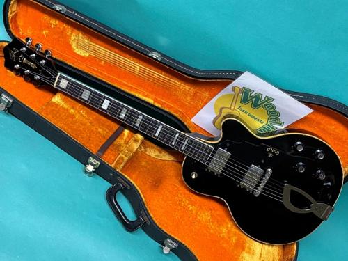 Guild M-75 BLUESBIRD