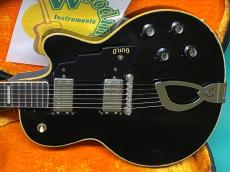 Guild M-75 BLUESBIRD_2