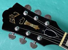 Guild M-75 BLUESBIRD_5