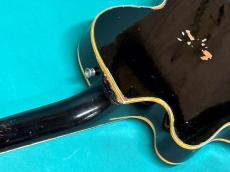 Guild M-75 BLUESBIRD_9