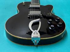 Guild M-75 BLUESBIRD_10