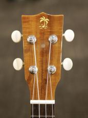 ILIKAI IL-SOP-PINE-4KGG 【実物写真】【福岡店在庫】【ハードケース付属】【パイナップル型】_4