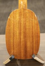 ILIKAI IL-SOP-PINE-4KGG 【実物写真】【福岡店在庫】【ハードケース付属】【パイナップル型】_5