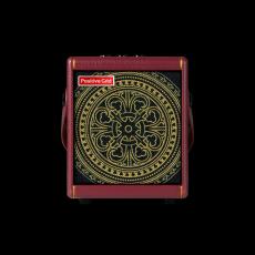 Positive Grid 【数量限定特価】 Spark MINI Vai【未展示品納品】【Steve Vai Model】【ヴァイ大先生好きは必見】_3