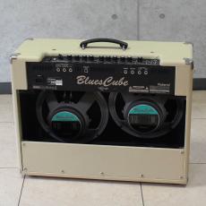 Roland Blues Cube Artist BC-ART212B_2