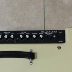 Roland Blues Cube Artist BC-ART212B_4