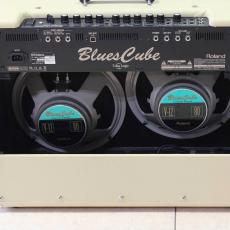 Roland Blues Cube Artist BC-ART212B_5