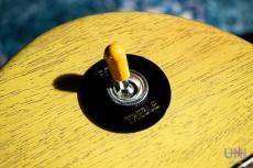 Gibson Les Paul Special TV Yellow / 2023_4