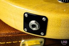 Gibson Les Paul Special TV Yellow / 2023_7