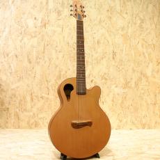 TACOMA C1C 2000s_3