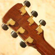 SHANTI GUITARS SF Adirondack Spruce/Indian Rosewood_9