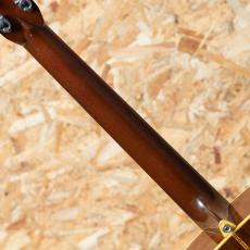 Martin D-28 1976_7