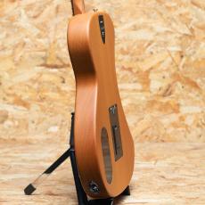 Fender HIGHWAY SERIES PARLOR Mahogany_5