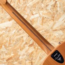 Fender HIGHWAY SERIES PARLOR Mahogany_7