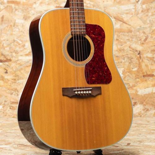 Guild D-40 2000's