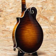 Collings MF5_2