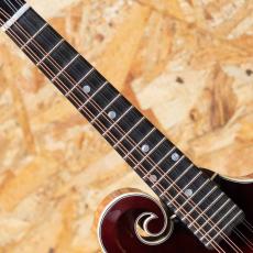 Gibson F-5G Dark Burst_6