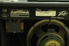 PEAVEY ENVOY 110 [PL713]【神戸店在庫】_9