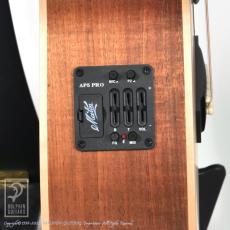 Maton EBG808 Artist_11