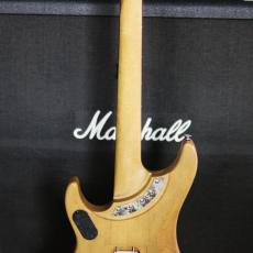 Washburn N4 Vintage_4
