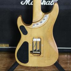 Washburn N4 Vintage_5