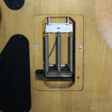 Washburn N4 Vintage_6