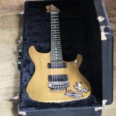 Washburn N4 Vintage_8