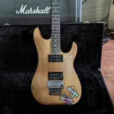 Washburn N4 Vintage_10
